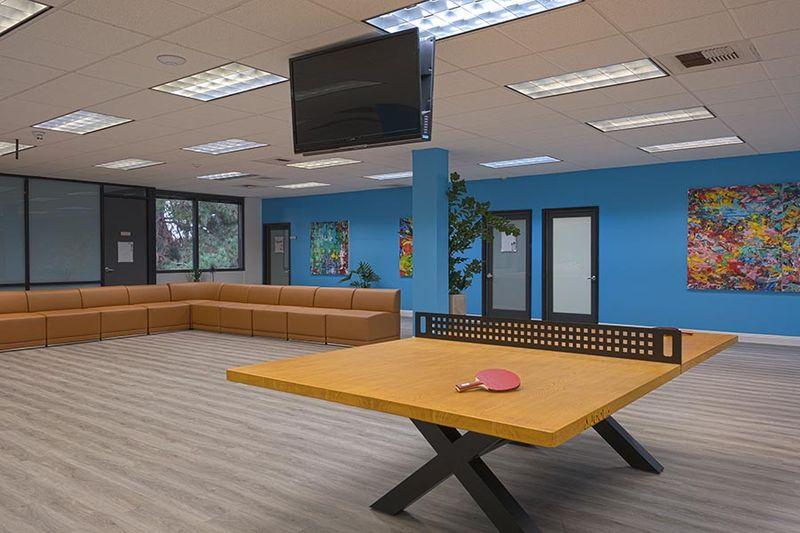 ping pong table