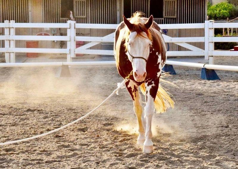 Newport Academy Northern California Photo