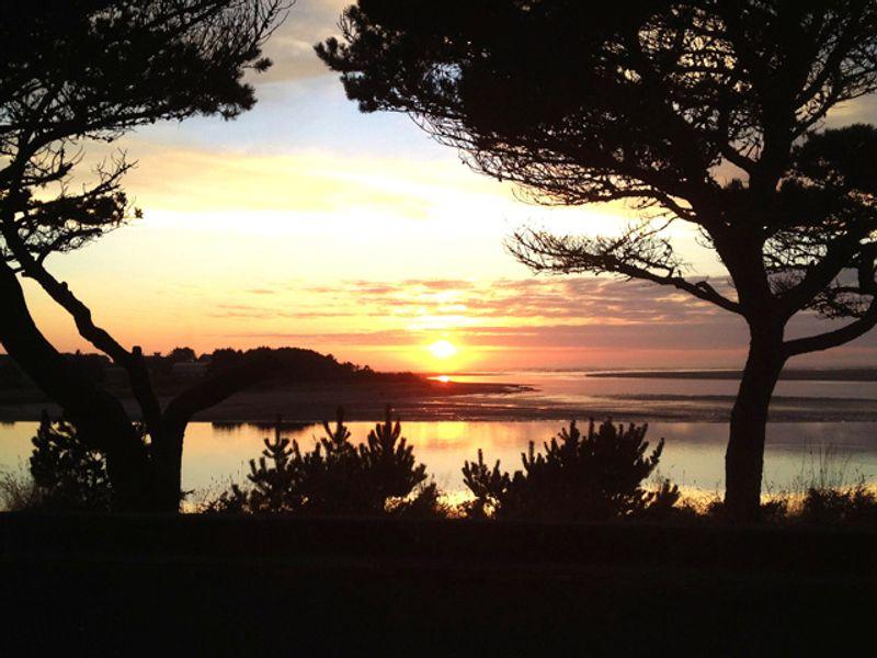 Awakenings by the Sea Photo