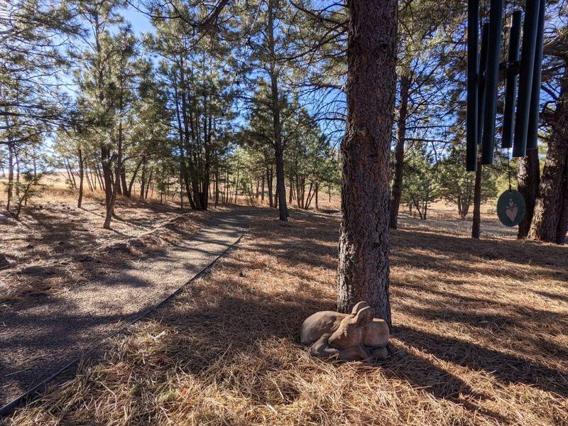 Healing Pines Recovery Photo