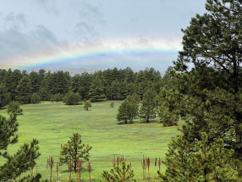 Healing Pines Recovery Photo